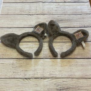 Great Wolf Lodge Ears